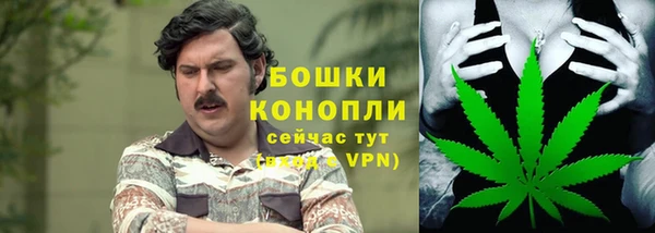 Альфа ПВП Нея