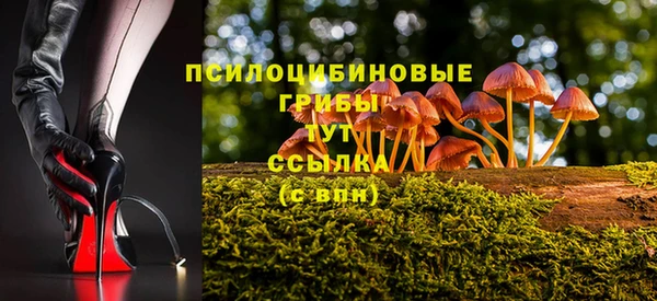 скорость Новокубанск