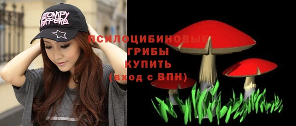 мяу мяу мука Новозыбков