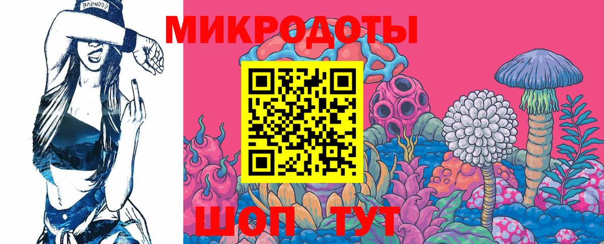 Галлюциногенные грибы Cubensis Кандалакша