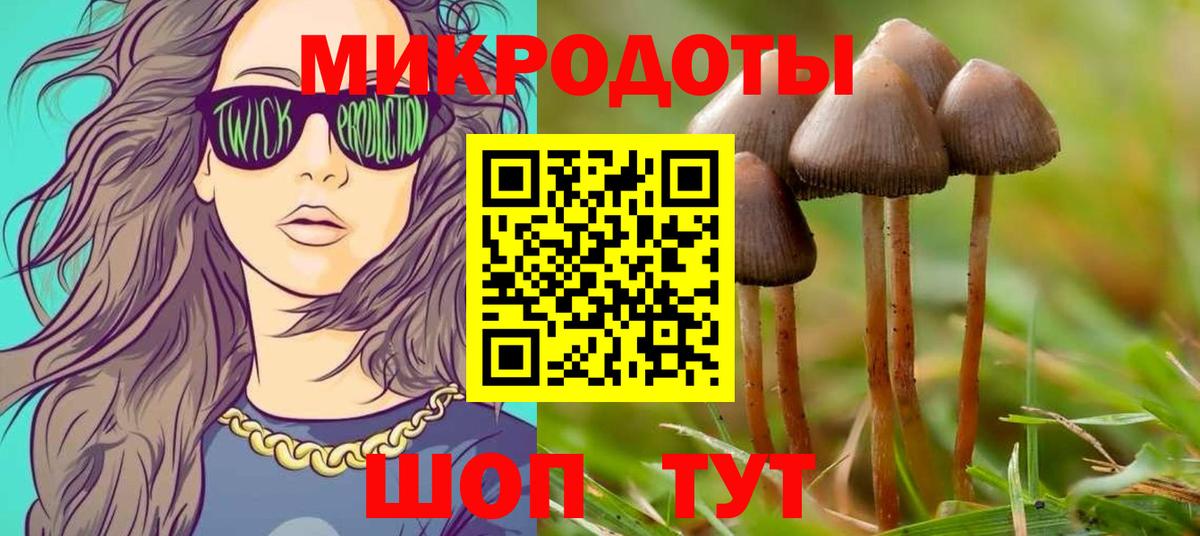 Псилоцибиновые грибы Psilocybe  Галлюциногенные грибы Cubensis  Кандалакша  Вход с VPN 